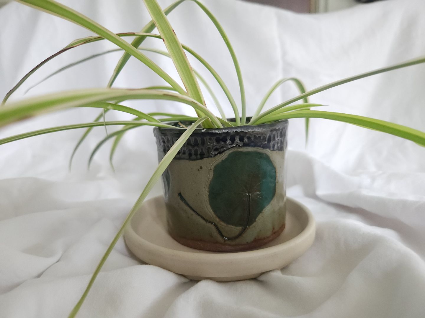 Nasturtium Leaf Planter