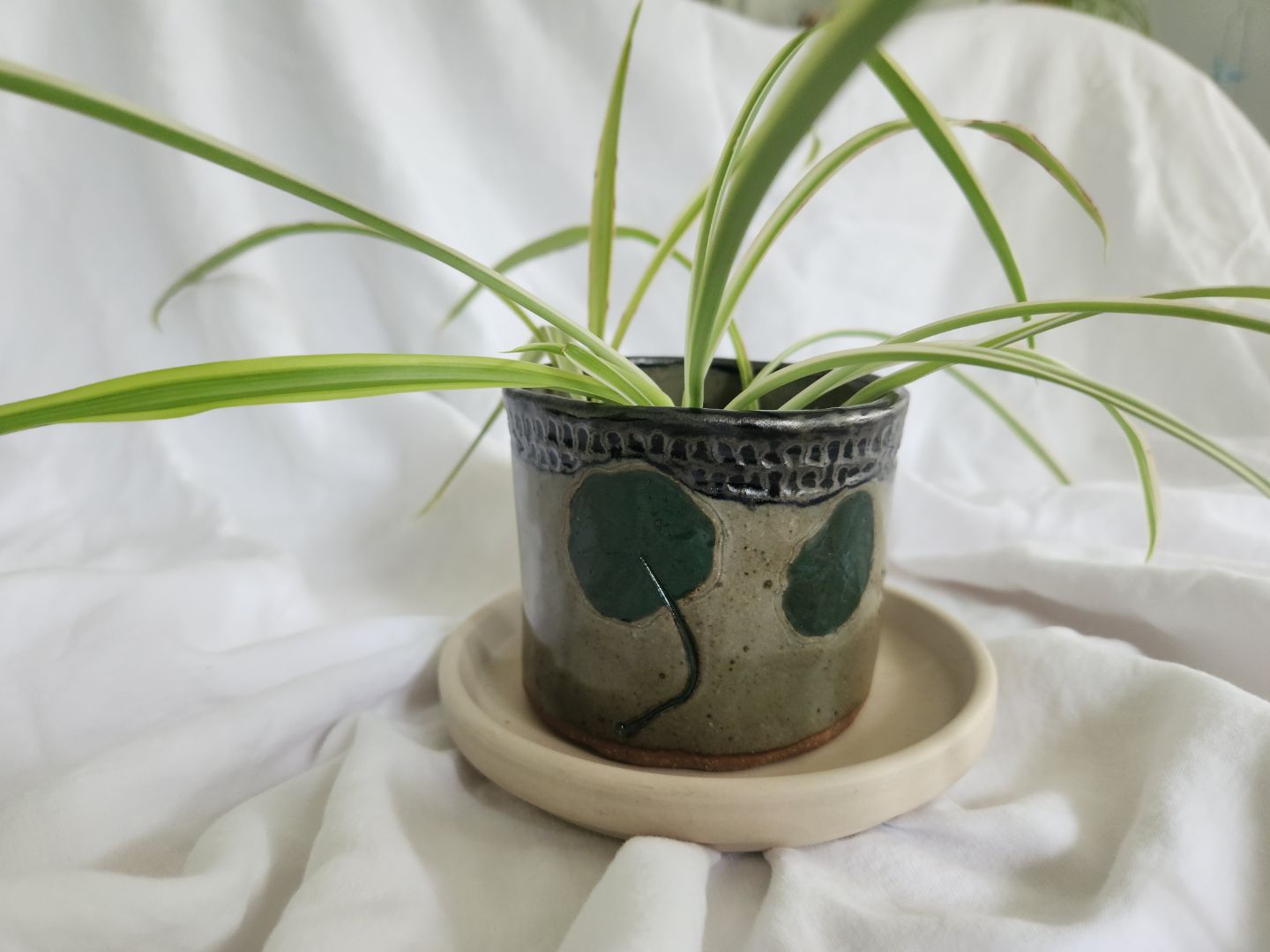 Nasturtium Leaf Planter